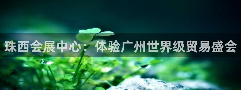 果博公司会员开户